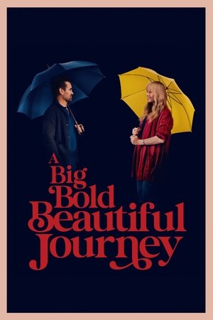 A Big Bold Beautiful Journey (2025) WEBRIP Hindi (MULTI AUDIO) 720p – 480p – 1080p
